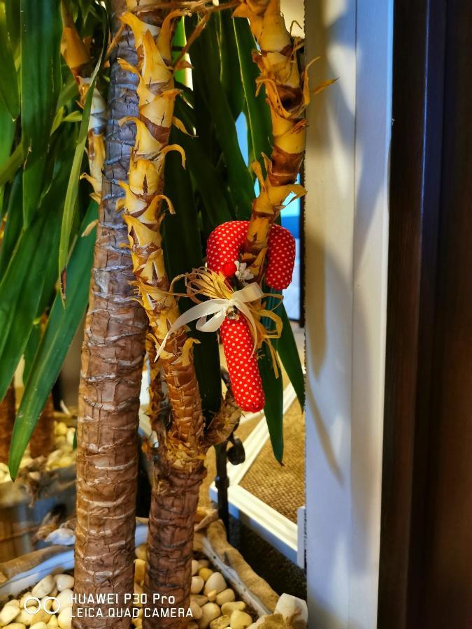 Hotel Swiss Σούμεν Εξωτερικό φωτογραφία